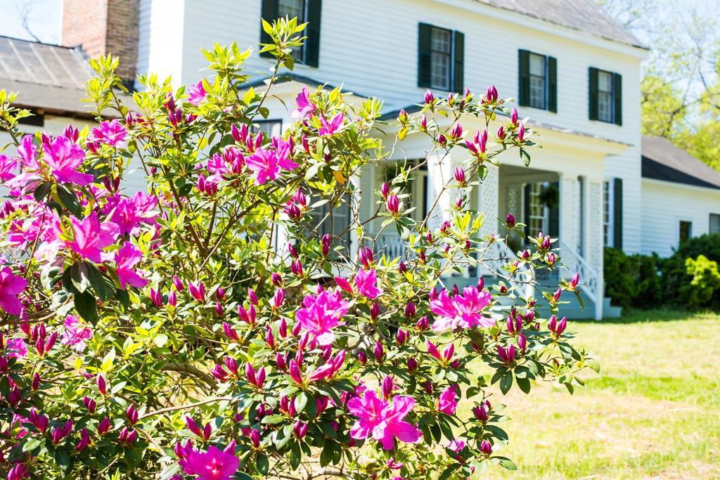 Oak Grove Bed And Breakfast South Boston Exteriér fotografie